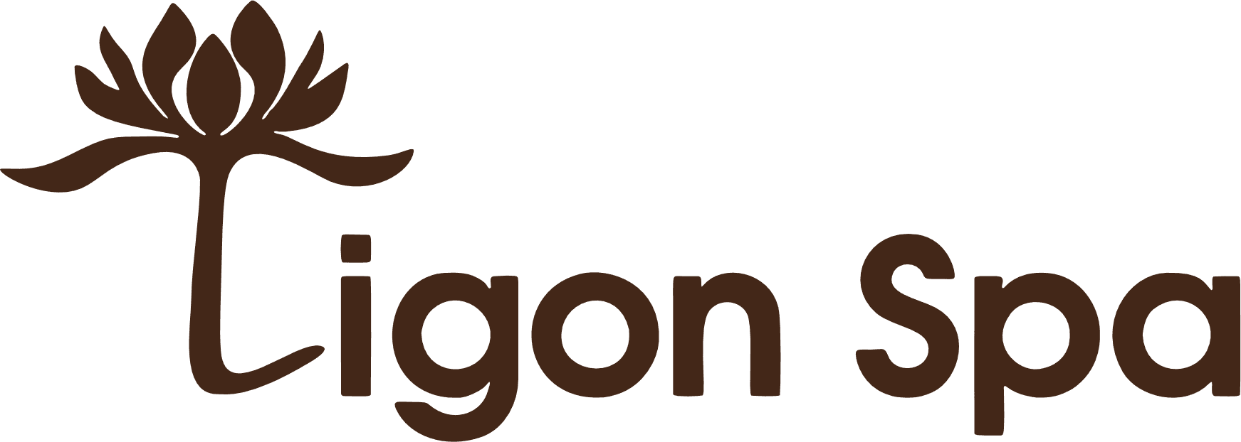 Tigon Spa